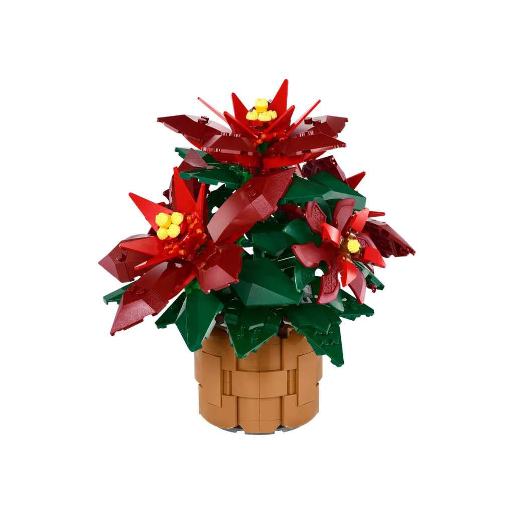 Poinsettia Image