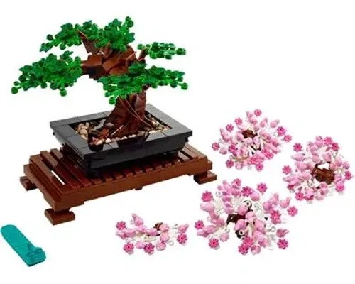 Bonsai Tree Image