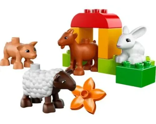 Farm Animals Image