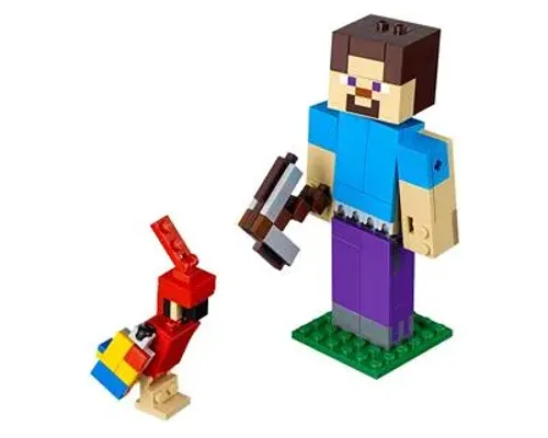 Minecraft Steve BigFig with Parrot Image