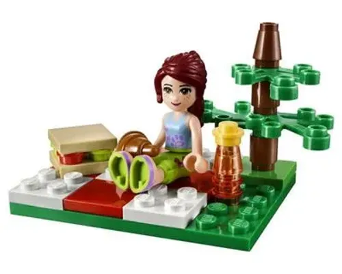 Summer Picnic Image