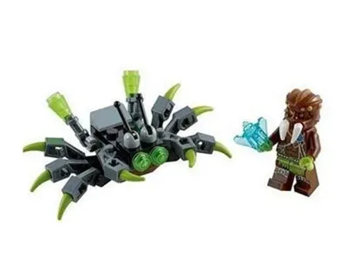 Spider Crawler Image