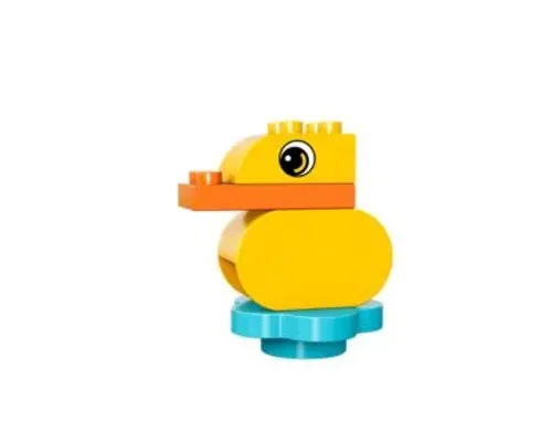 Duck Image