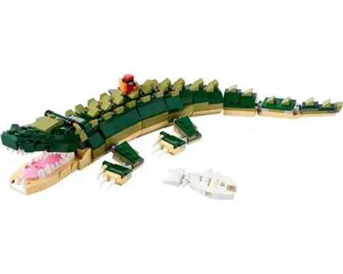 Crocodile Image