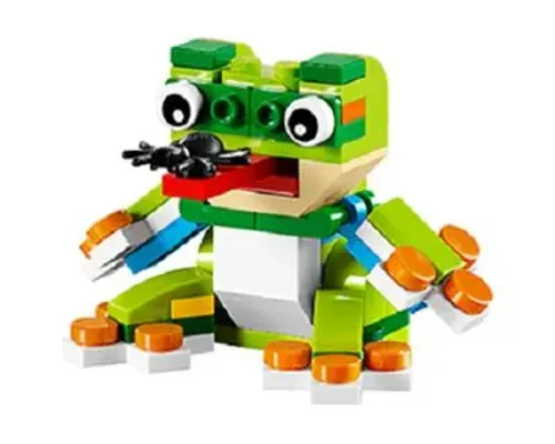 Frog Image