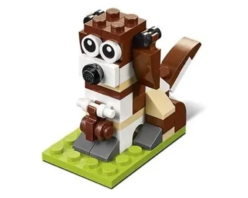 St. Bernard Dog Image