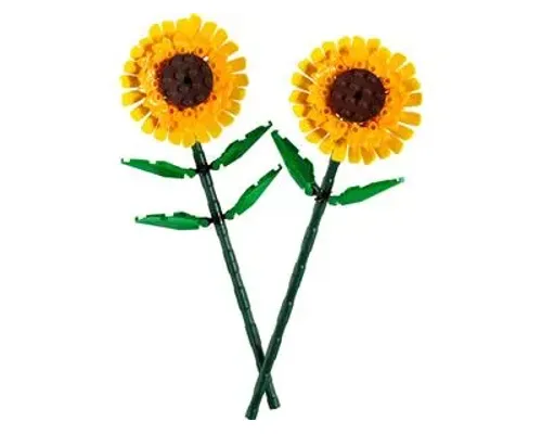 Sunflowers Image