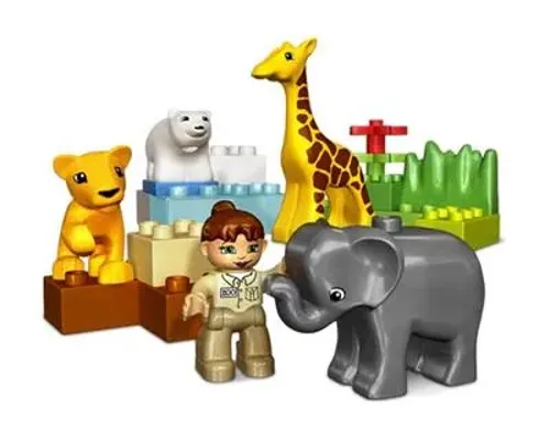 Baby Zoo Image