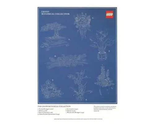 Botanical Collection Art Print - Blueprint Image