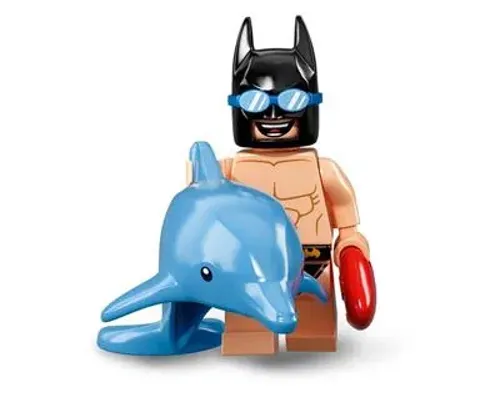 Swimming Pool Batman Image