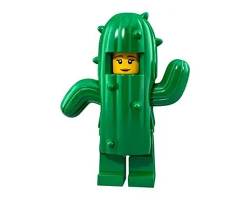 Cactus Girl Image