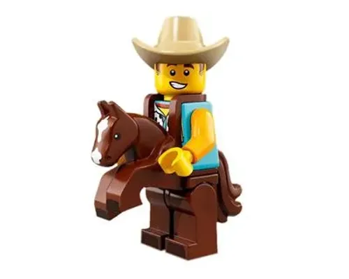 Cowboy Costume Guy Image