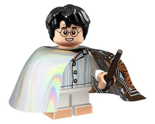 Harry Potter (Invisibility Cloak) Image