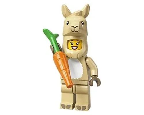 Llama Costume Girl Image