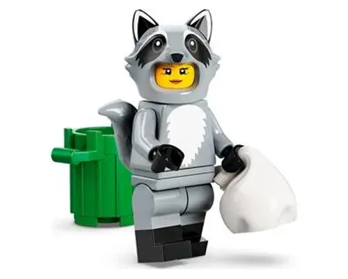 Raccoon Costume Fan Image