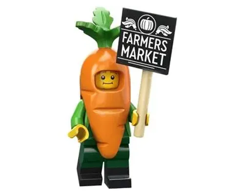 Carrot Mascot Image