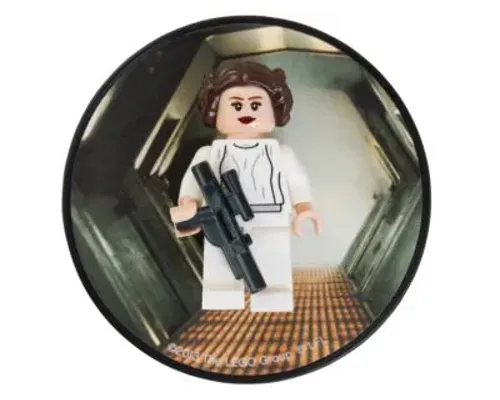 Princess Leia Magnet Image