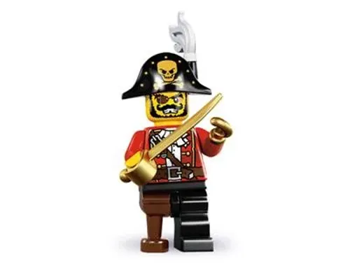 Pirate Captain Image