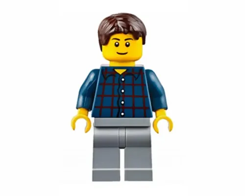 Plaid Button Shirt, Light Bluish Gray Legs, Dark Brown Short Tousled Hair Image