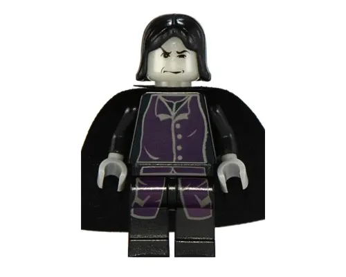 Professor Severus Snape Image