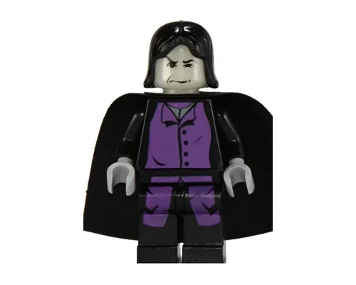 Professor Severus Snape Image