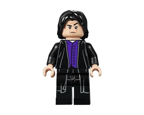 Professor Severus Snape Image