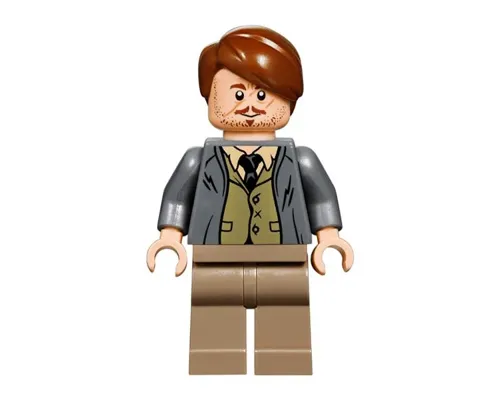 Professor Remus Lupin Image