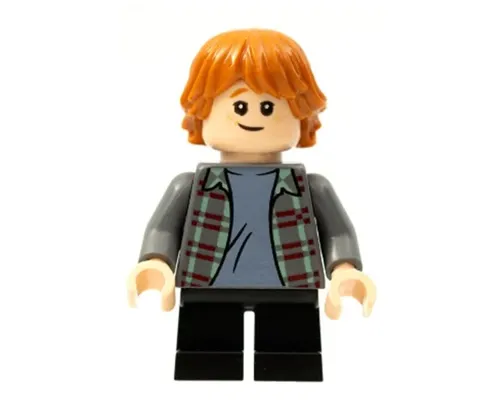 Ron Weasley Image