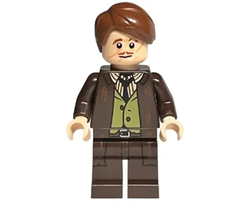 Professor Remus Lupin Image