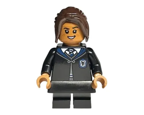 Ravenclaw Student Image