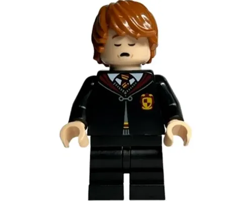 Ron Weasley Image