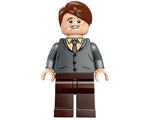 Professor Remus Lupin Image