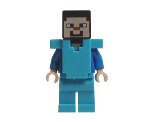 Steve Image