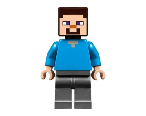 Steve Image