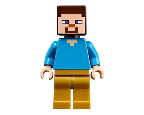 Steve Image