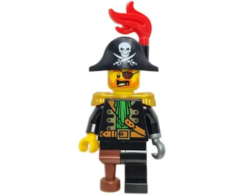 Pirate Captain Image