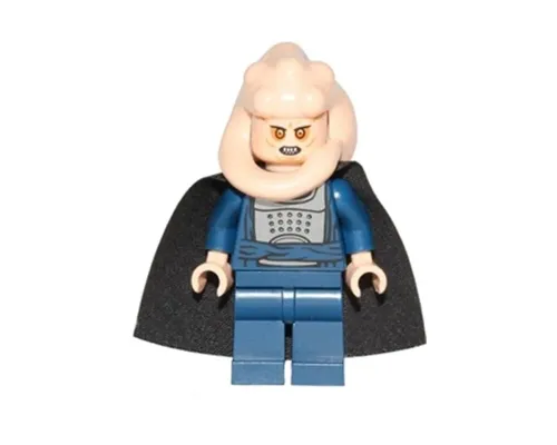 Bib Fortuna Image