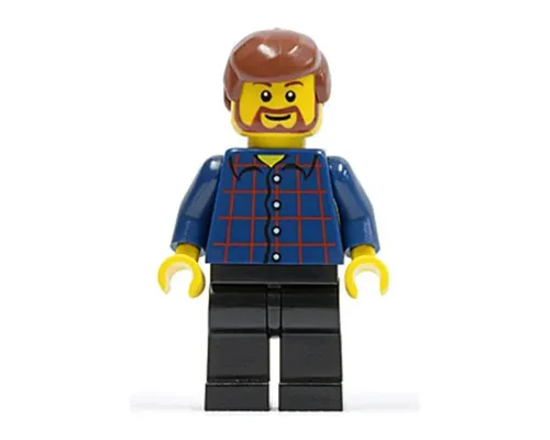 Plaid Button Shirt, Black Legs, Reddish Brown Male Hair, Reddish Brown Beard and Eyebrows Image