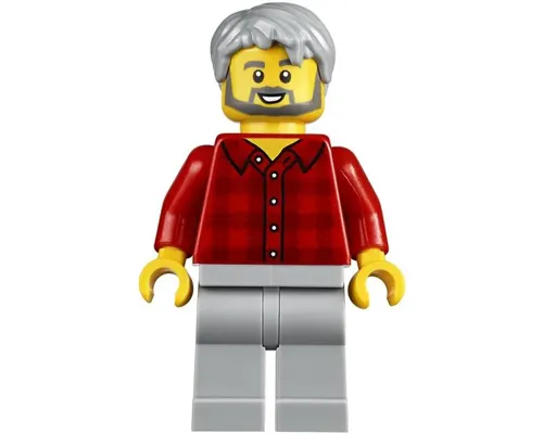 Male, Red Plaid Flannel Shirt, Light Bluish Gray Legs, Light Bluish Gray Hair, Dark Bluish Gray Beard Image